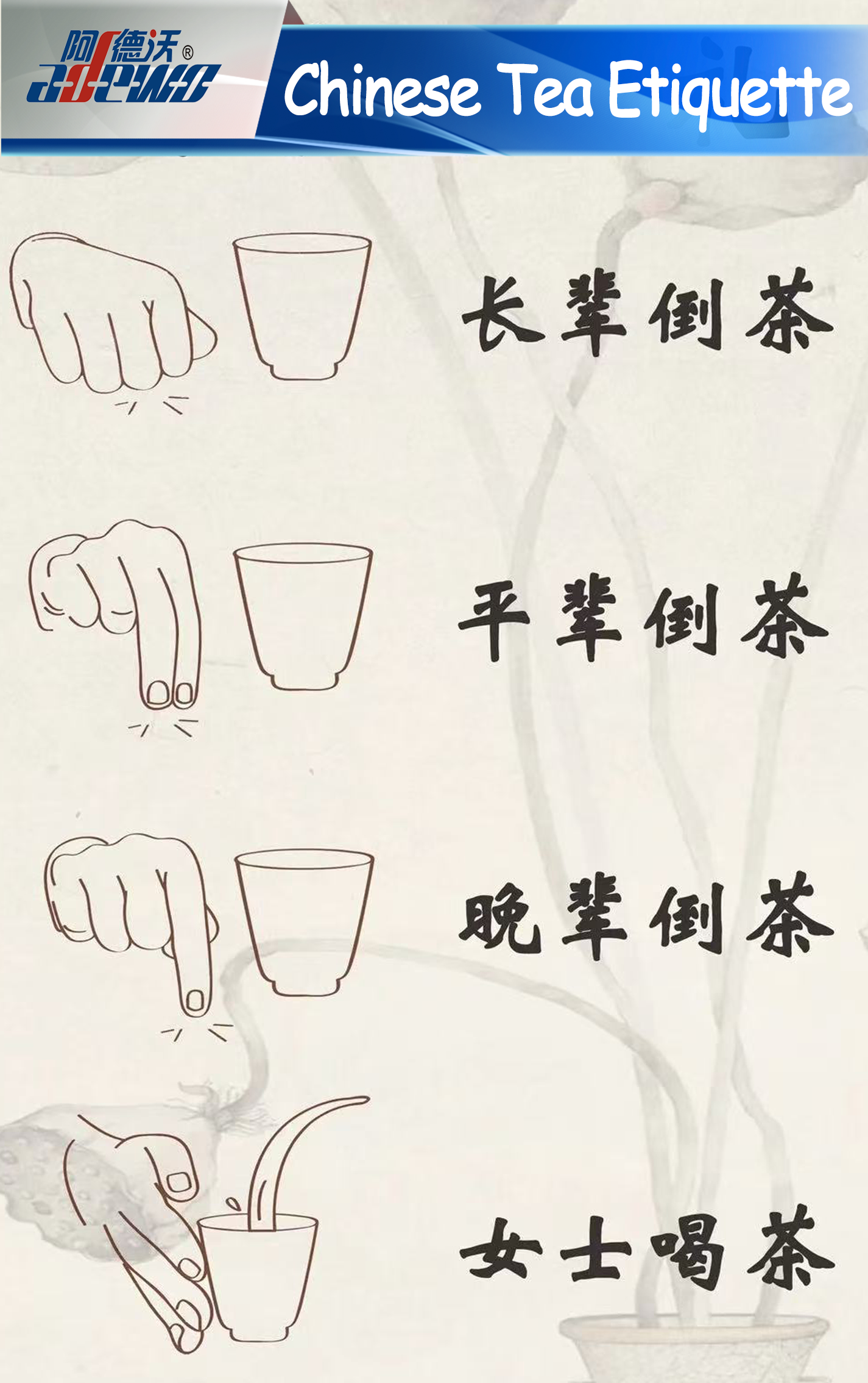 Seres tea etiquette