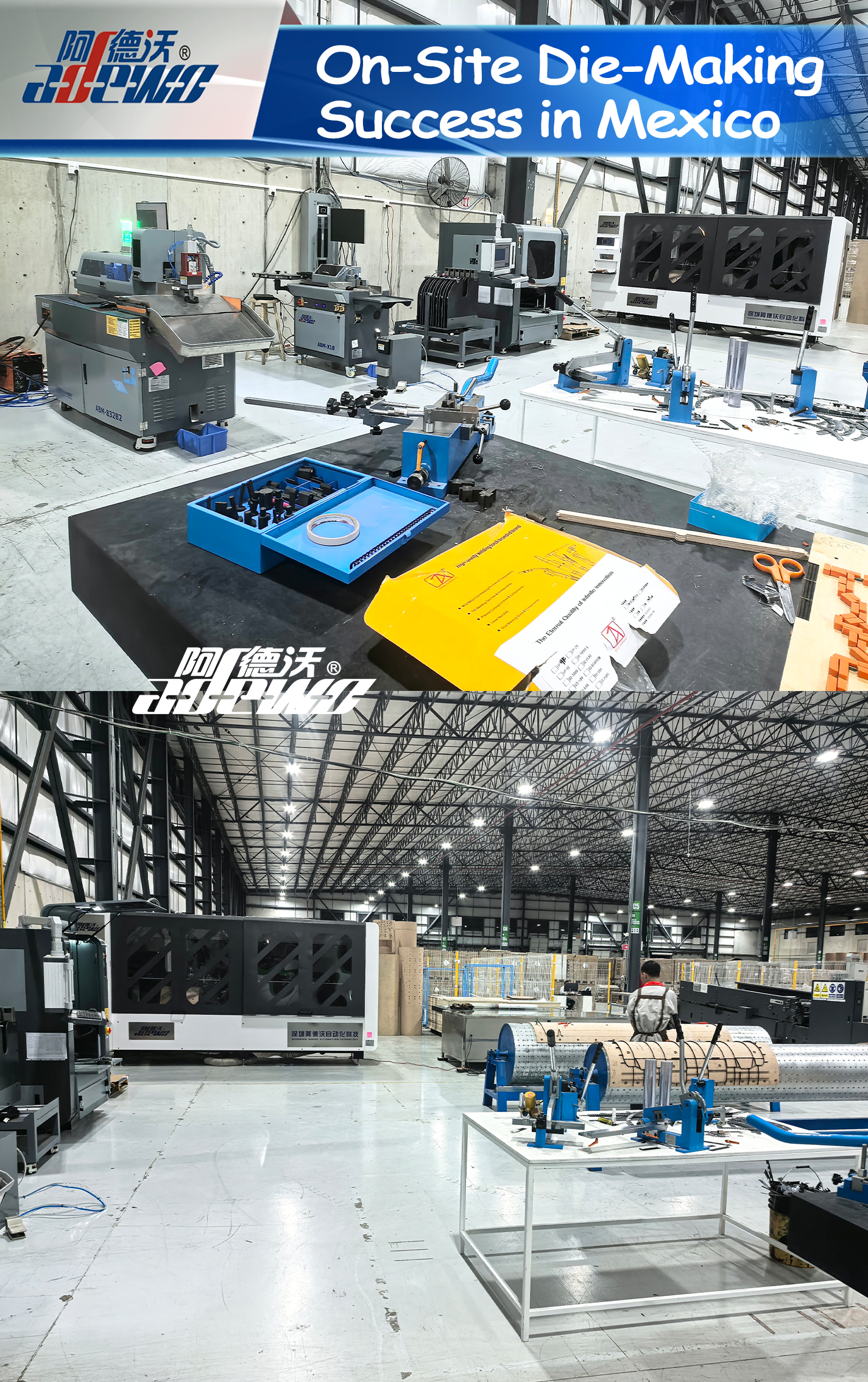 De-Site Die-Faciens Success in Mexico